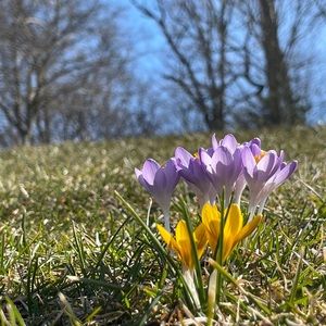 Meet your Posher, Denise